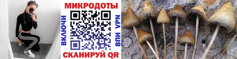 Галлюциногенные грибы прущие грибы  даркнет сайт  MEGA ссылки  даркнет состав  Богучар 
