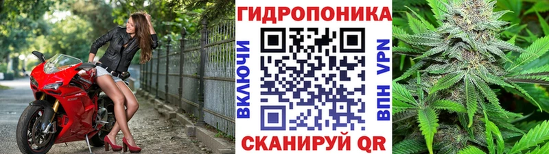 закладка  Богучар  Бошки марихуана Bruce Banner 